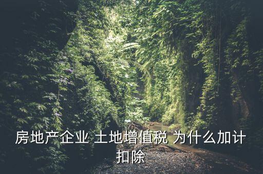 房地產(chǎn)企業(yè) 土地增值稅 為什么加計(jì)扣除