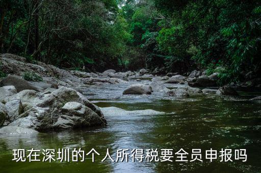 深圳為什么要個(gè)稅申報(bào)，外地企業(yè)如何在深圳為什么還要繳納個(gè)人所得稅1