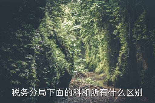 稅局計統(tǒng)科是什么意思，稅務分局下面的科和所有什么區(qū)別