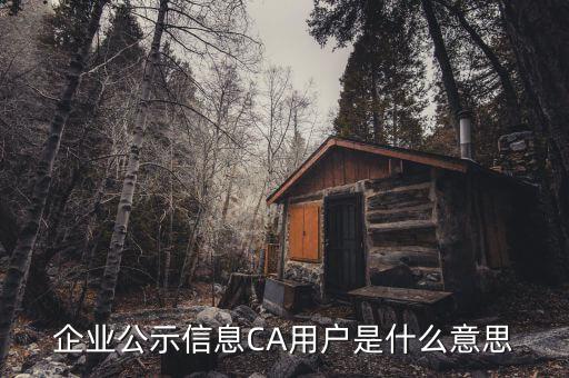 納稅人ca用戶是什么意思，什么是CA用戶啊