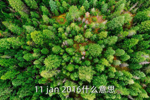 11 jan 2016什么意思