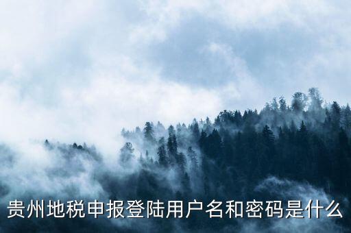 地稅登錄名密碼是什么意思，地稅申報的用戶名和密碼是什么