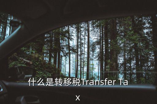 什么是跨地區(qū)稅收轉(zhuǎn)移企業(yè)，什么是轉(zhuǎn)移稅Transfer Tax