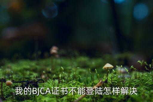 為什么ca證書不能登錄，我的BJCA證書不能登陸怎樣解決