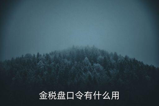 報稅數(shù)字證書口令是什么，陜西天暢偉業(yè)的網(wǎng)上報稅系統(tǒng)的登錄口令是什么