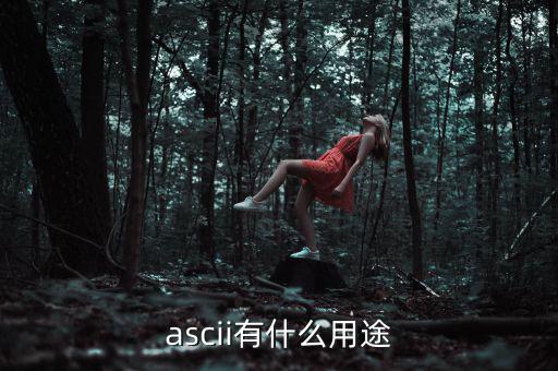 稅優(yōu)識別碼有什么用，ascii有什么用途