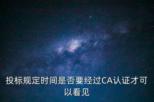 投標規(guī)定時間是否要經過CA認證才可以看見