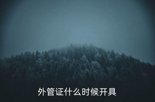 外管證什么時(shí)候開具