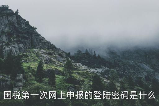 國稅第一次網(wǎng)上申報的登陸密碼是什么