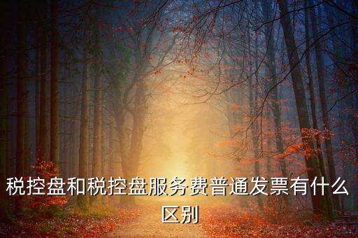 金稅盤和稅控盤有什么區(qū)別，金稅盤和稅控盤開出的發(fā)票有什么區(qū)別