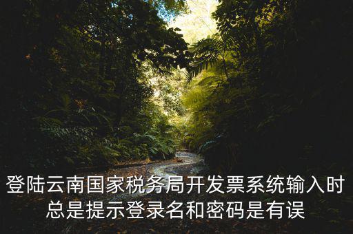 登陸云南國家稅務局開發(fā)票系統(tǒng)輸入時總是提示登錄名和密碼是有誤