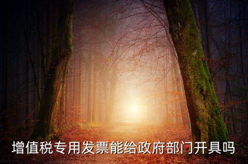 什么內(nèi)容的發(fā)票不可以給政府部門，增值稅專用發(fā)票能給政府部門開具嗎