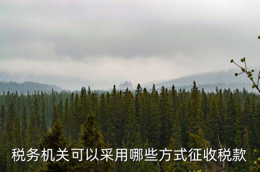 稅務局按什么征收稅務，稅務機關可以采用哪些方式征收稅款