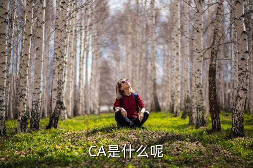 稅務(wù)ca 是什么，Ca是什么