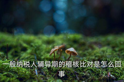 一般納稅人輔導(dǎo)期的稽核比對(duì)是怎么回事