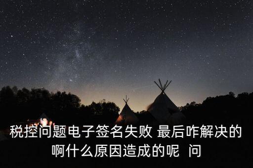 什么是稅控簽名，報稅時數(shù)字簽名是甚么意思