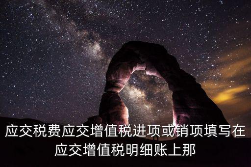 扣繳稅款登記填什么稅，在個人所得稅代扣代繳軟件中所要填寫的稅務(wù)登記號是填國稅的還是地