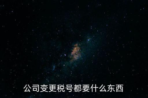 公司變更稅號(hào)都要什么東西