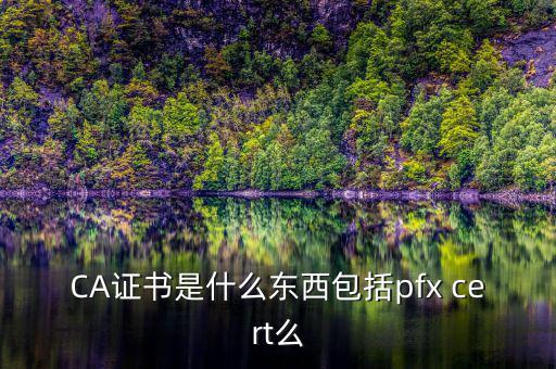 什么叫ca證書，什么事CA證書