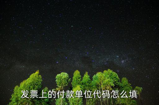 發(fā)票單位名稱是什么，增值稅普通發(fā)票的單位名稱