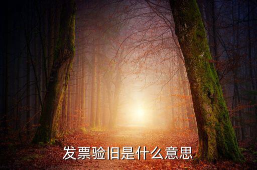 增值稅驗舊是什么意思，發(fā)票驗證時提示舊系統(tǒng)已驗舊是什么意思