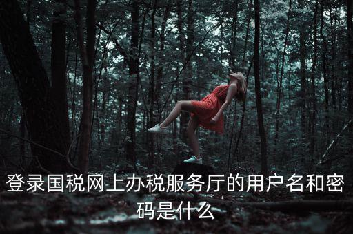 登錄國稅網(wǎng)上辦稅服務(wù)廳的用戶名和密碼是什么