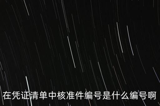 在憑證清單中核準(zhǔn)件編號(hào)是什么編號(hào)啊