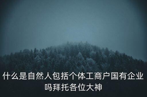 什么是稅務(wù)中的自然人，會(huì)計(jì)中自然人所指的是那種人