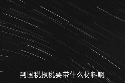 到國稅報稅要帶什么材料啊