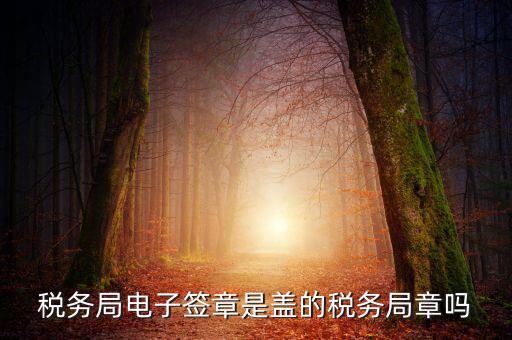 稅務(wù)局電子簽章是什么，在國稅系統(tǒng)電子簽章時(shí)為什么不是每次都提示輸入口令