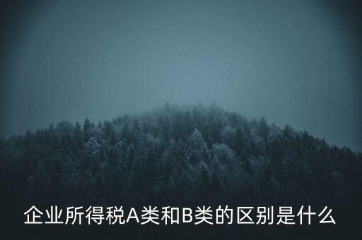 企業(yè)所得稅b類是什么意思，企業(yè)所得稅A類和B類的區(qū)別是什么