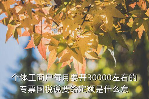 國稅定額是什么意思，個(gè)體工商戶每月要開30000左右的專票國稅說要給定額是什么意