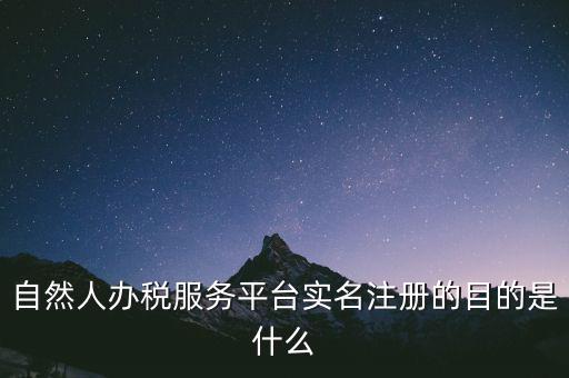 自然人辦稅服務(wù)平臺(tái)實(shí)名注冊(cè)的目的是什么