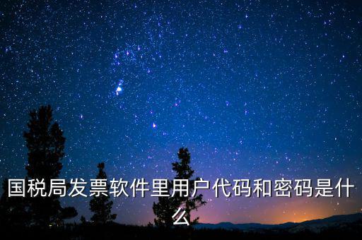 登錄稅務開票密碼是什么，國稅第一次網(wǎng)上申報的登陸密碼是什么