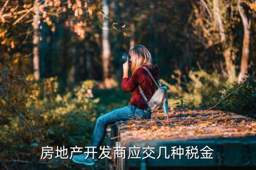 房地產(chǎn)公司交什么稅，房地產(chǎn)公司都要交什么稅