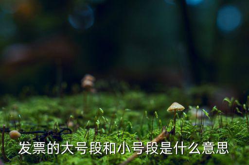 發(fā)票的大號段和小號段是什么意思