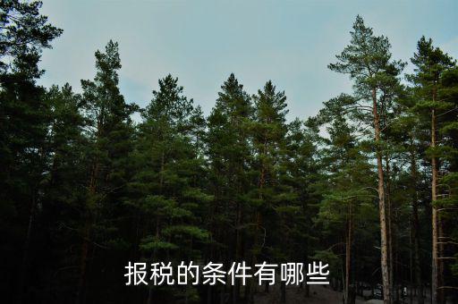 集團公司的申報納稅有什么要求，公司申請申請一般納稅人需要條件