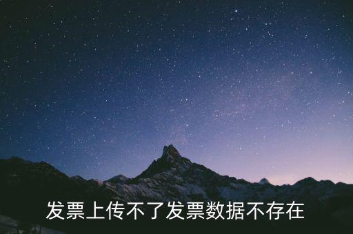 發(fā)票上傳不了發(fā)票數(shù)據(jù)不存在