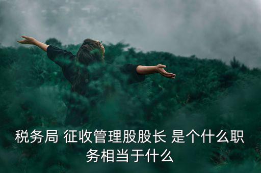 稅務(wù)局 征收管理股股長 是個什么職務(wù)相當于什么