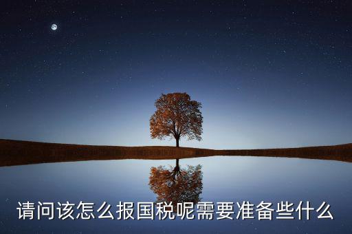 請問該怎么報國稅呢需要準(zhǔn)備些什么