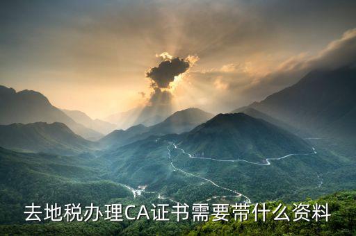 地稅ca帶什么，去地稅簽三方協(xié)議需要以下東西第四個CA是什么意思啊