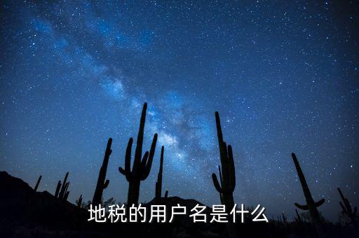 地稅ca登陸登陸名是什么，地稅的用戶名是什么