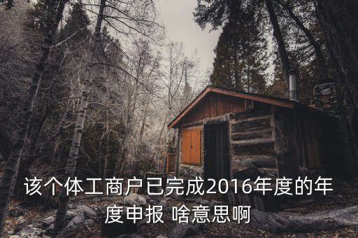 該個體工商戶已完成2016年度的年度申報 啥意思啊