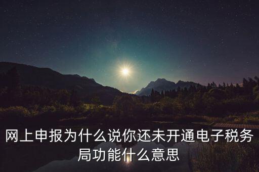 電子稅務(wù)局是干什么，企業(yè)金稅盤(pán)系統(tǒng)用來(lái)開(kāi)票抄稅報(bào)稅用那登錄國(guó)稅地稅局網(wǎng)站是干嘛的