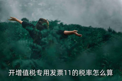 開增值稅專用發(fā)票11的稅率怎么算