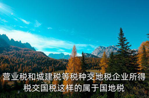 營業(yè)稅和城建稅等稅種交地稅企業(yè)所得稅交國稅這樣的屬于國地稅