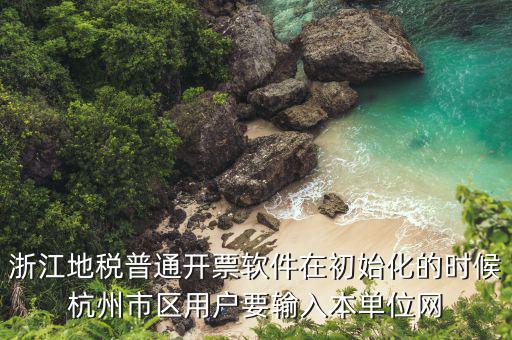 浙江網(wǎng)上開票系統(tǒng)登錄密碼是什么，浙江地稅開票軟件中數(shù)據(jù)庫密碼是多少