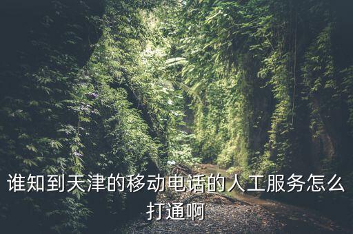 天津12366為什么打不通，誰知到天津的移動(dòng)電話的人工服務(wù)怎么打通啊