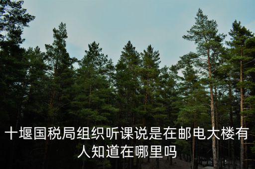 十堰國稅六辦指什么地方，十堰國稅局組織聽課說是在郵電大樓有人知道在哪里嗎