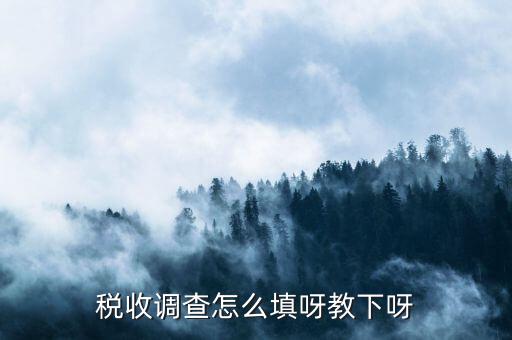 稅收調查主要調查什么，企業(yè)所得稅稅收調查